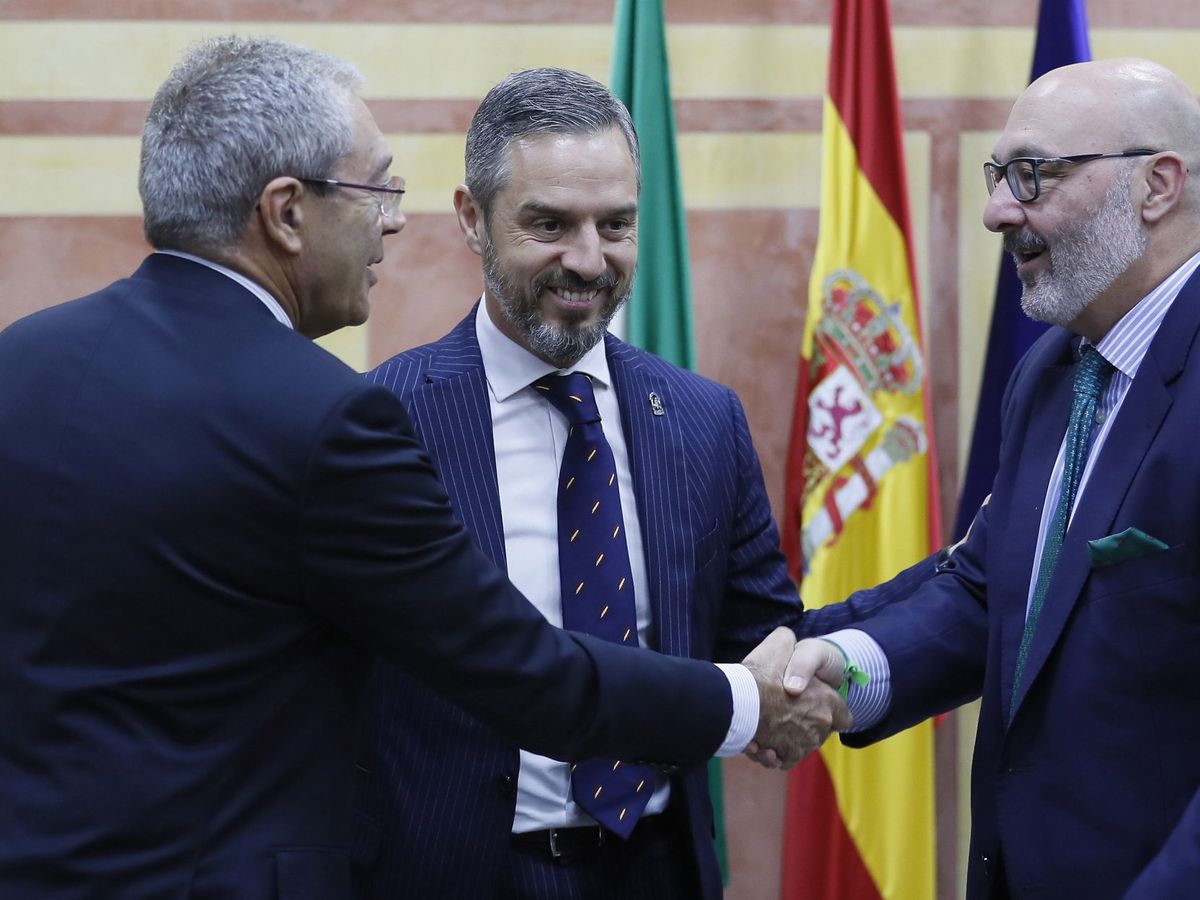 Foto: El consejero de Economía, Rogelio Velasco (i), estrecha la mano del portavoz parlamentario de Vox, Alejandro Hernández, tras la firma del acuerdo para la aprobación de los Presupuestos de Andalucía 2020. (EFE)