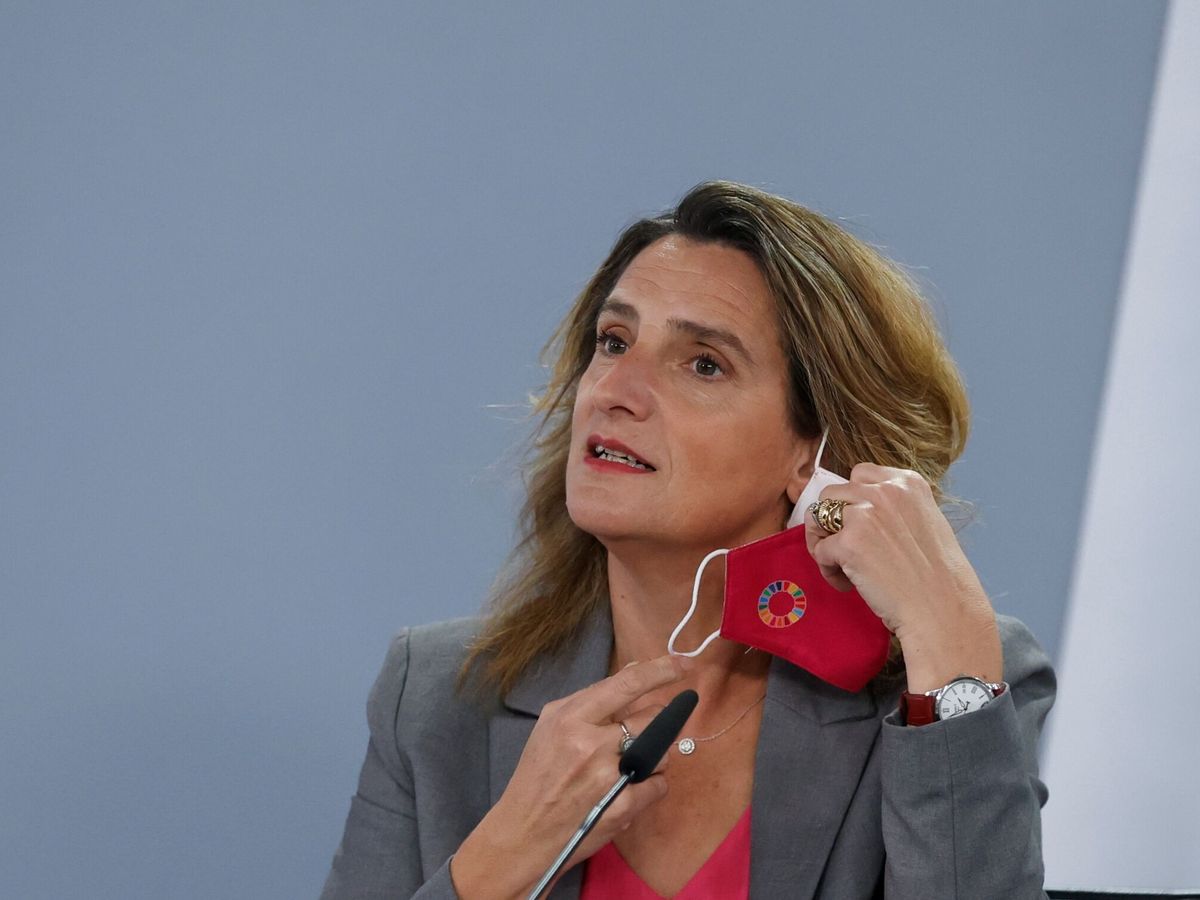 Foto: La vicepresidenta tercera y ministra para la Transición Ecológica y el Reto Demográfico, Teresa Ribera. (EFE)