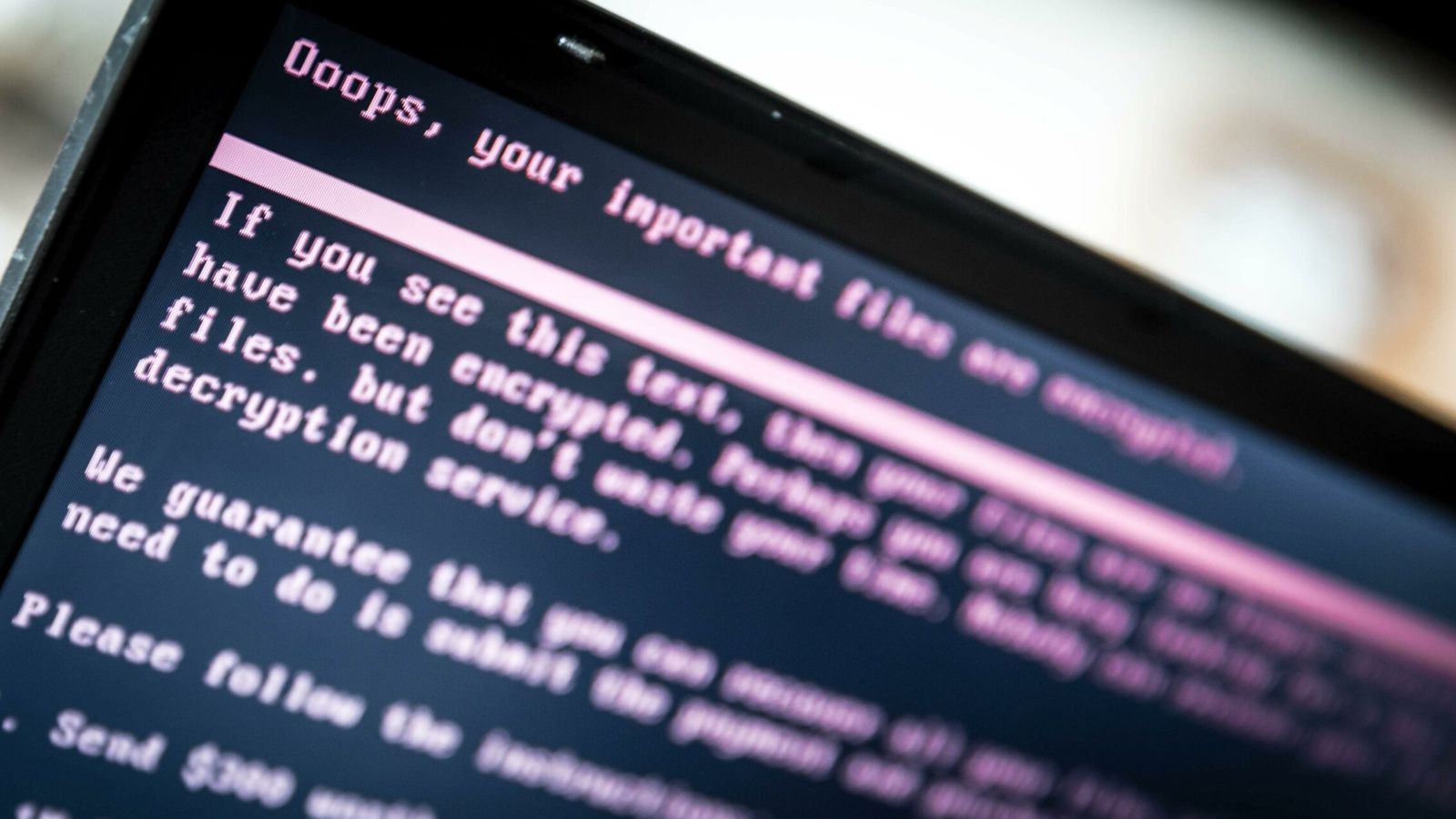 Una pantalla de ordenador muestra un mensaje tras ser infectado con 'ransomware'. (EFE/Rob Engelaar)