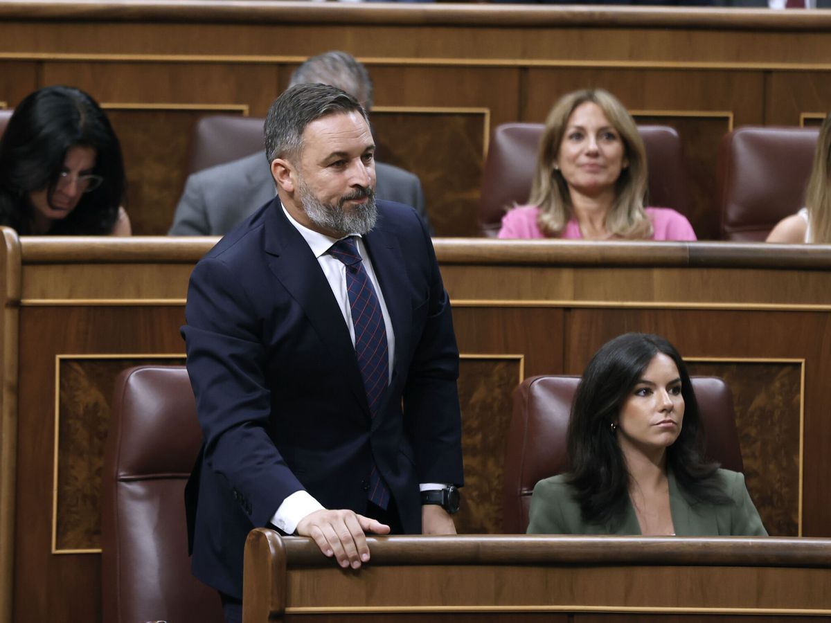 Foto:  El líder de Vox, Santiago Abascal. (EFE/Juan Carlos Hidalgo)
