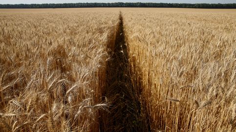 Trigo, maíz, aluminio... Cómo la crisis ucraniana amenaza con inflar aún más los precios