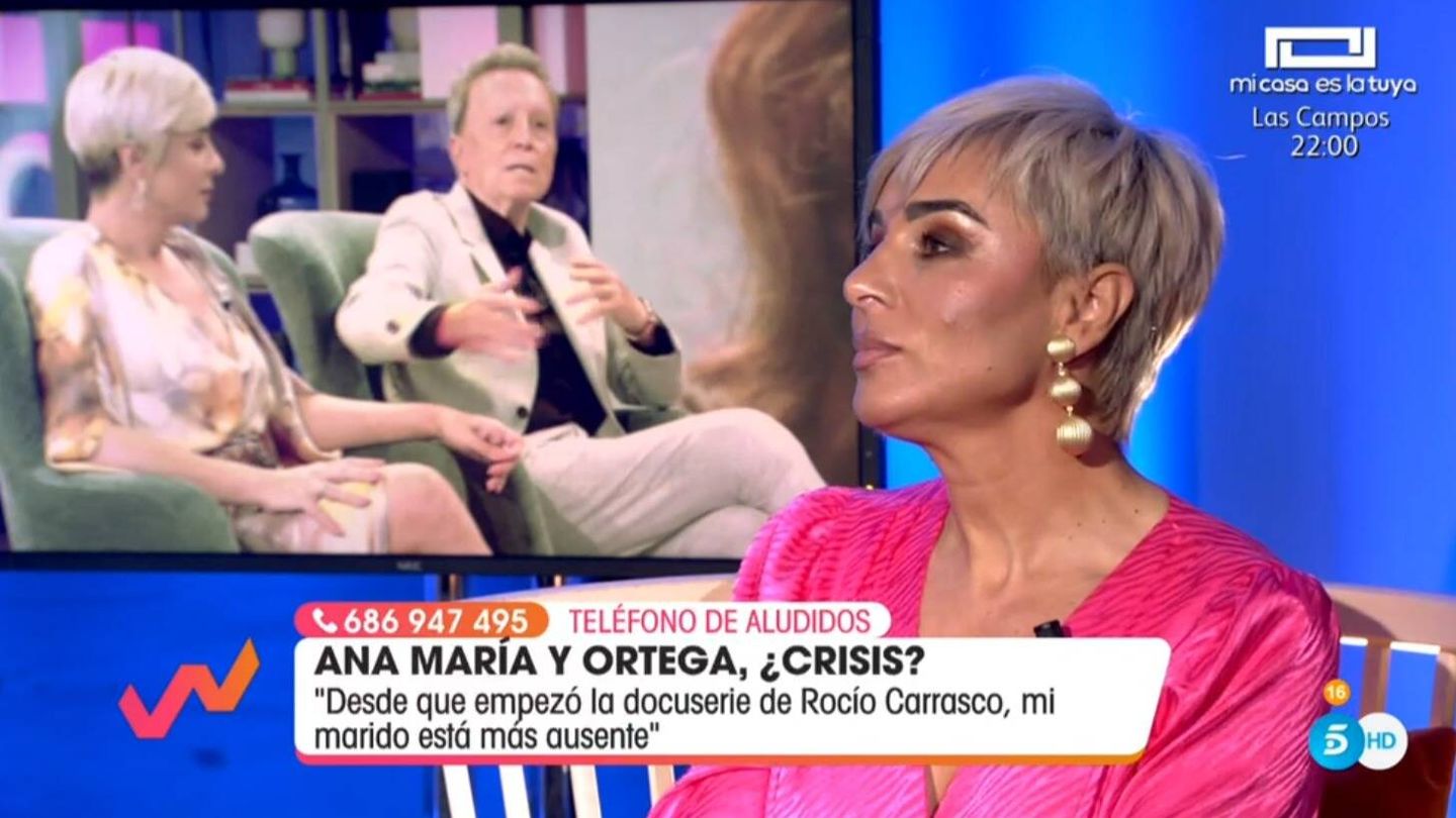 Ana María Aldón en 'Viva la vida'. (Mediaset España)