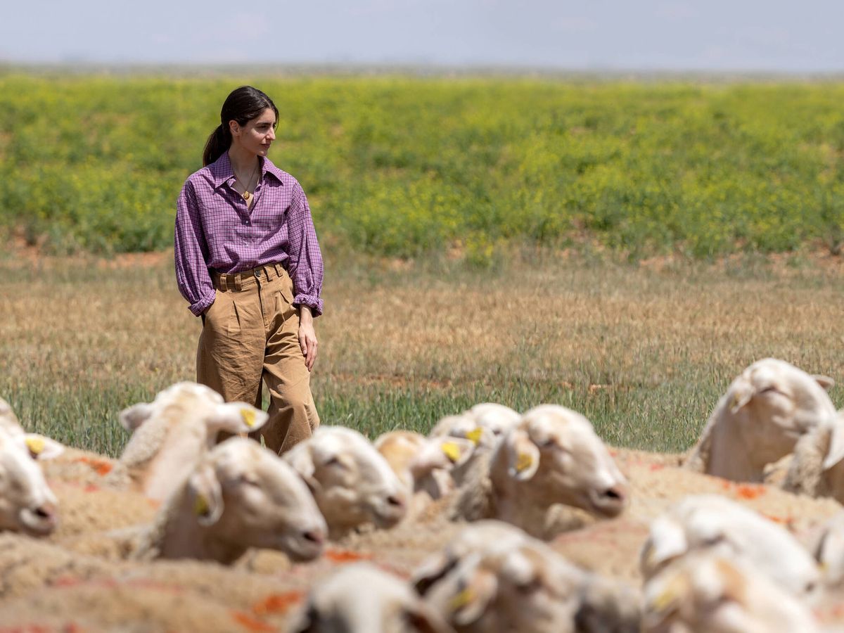 Foto: La quesera madrileña, Clara Díez, en el campo junto a un rebaño de ovejas. (Cedida/Justino Diez)