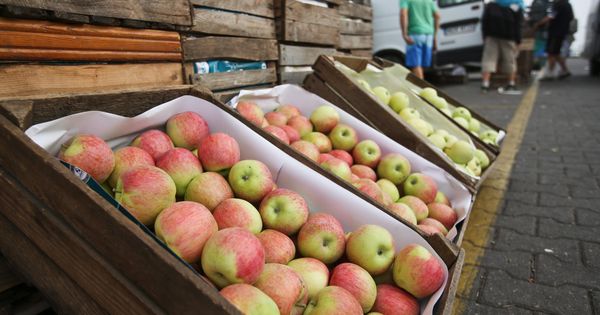 Foto: Puesto de manzanas en Varsovia. (EFE)
