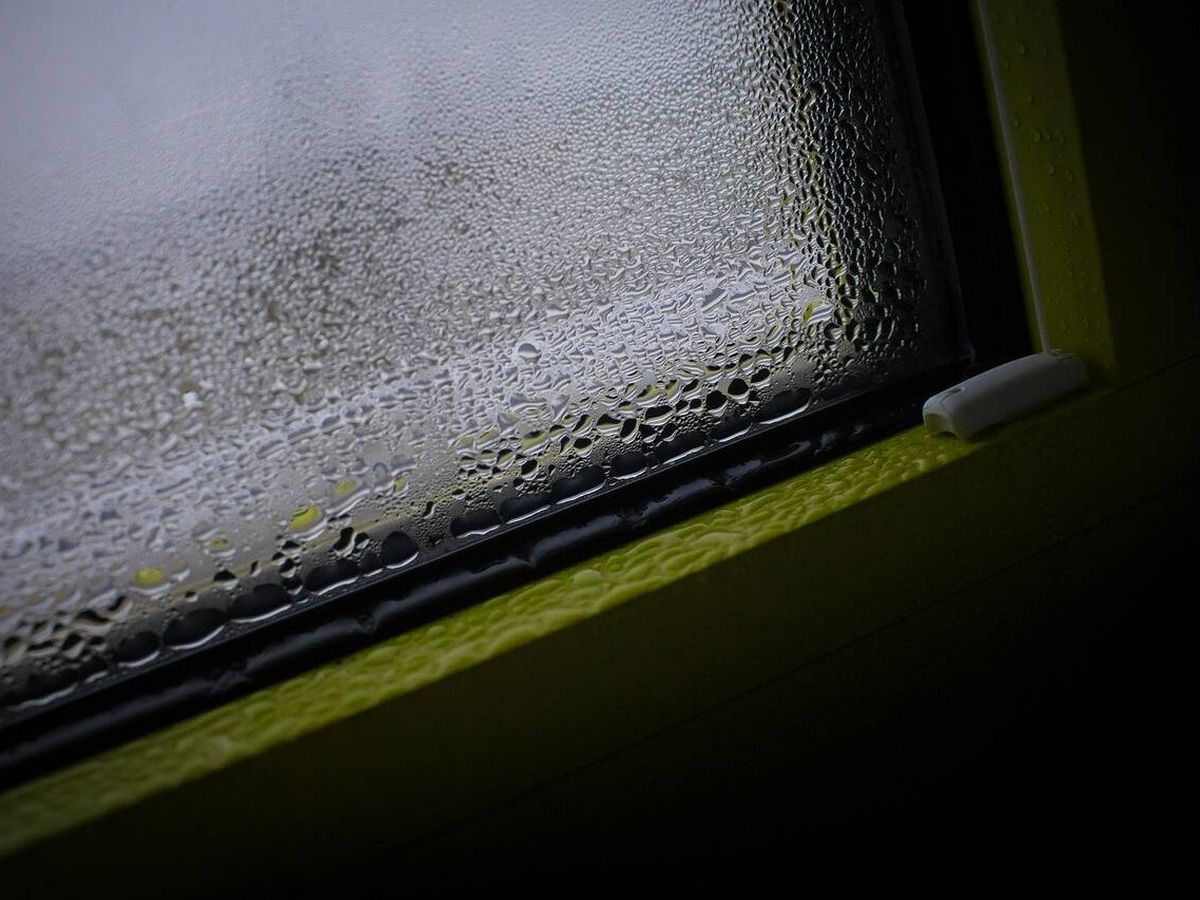 Foto: En los días de más frío, hay muchas posibilidades de que se produzca el efecto de condensación en ventanas (Pixabay/Tobias Heine)