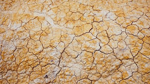 Las sequías van a ir a peor: peligramos nosotros y nuestra economía