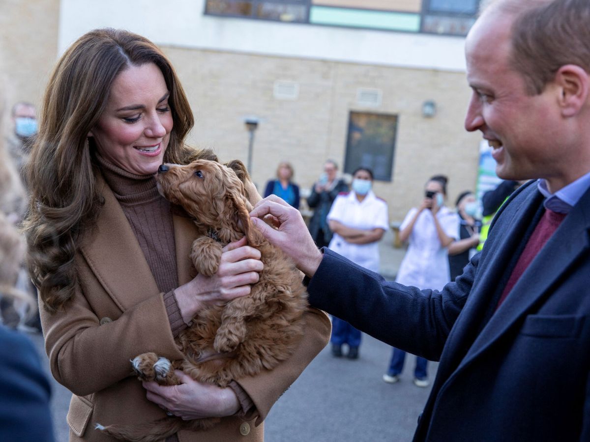 Foto: La duquesa de Cambridge, con el perro de terapia Alfie. (Reuters/James Glassop)