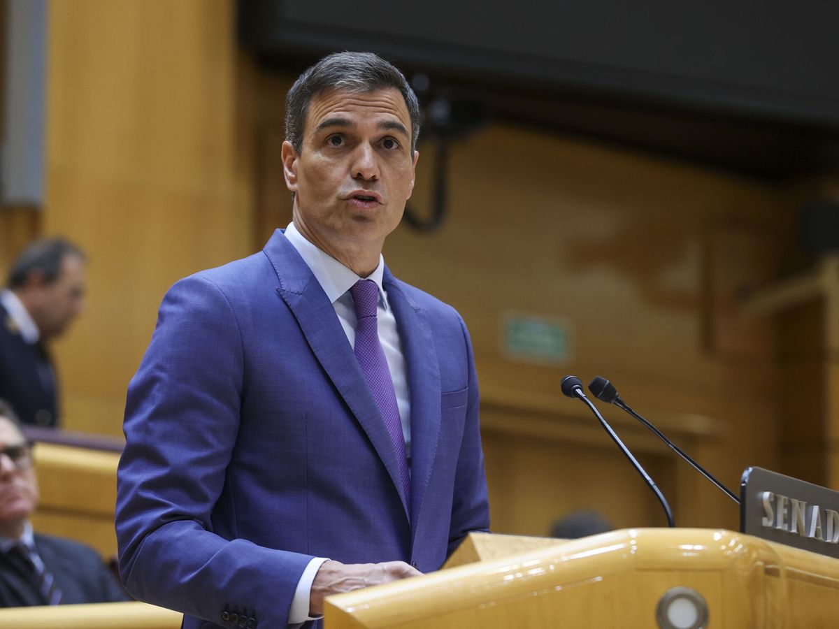 Foto: El presidente del Gobierno, Pedro Sánchez, en el Senado. (EFE/Kiko Huesca)
