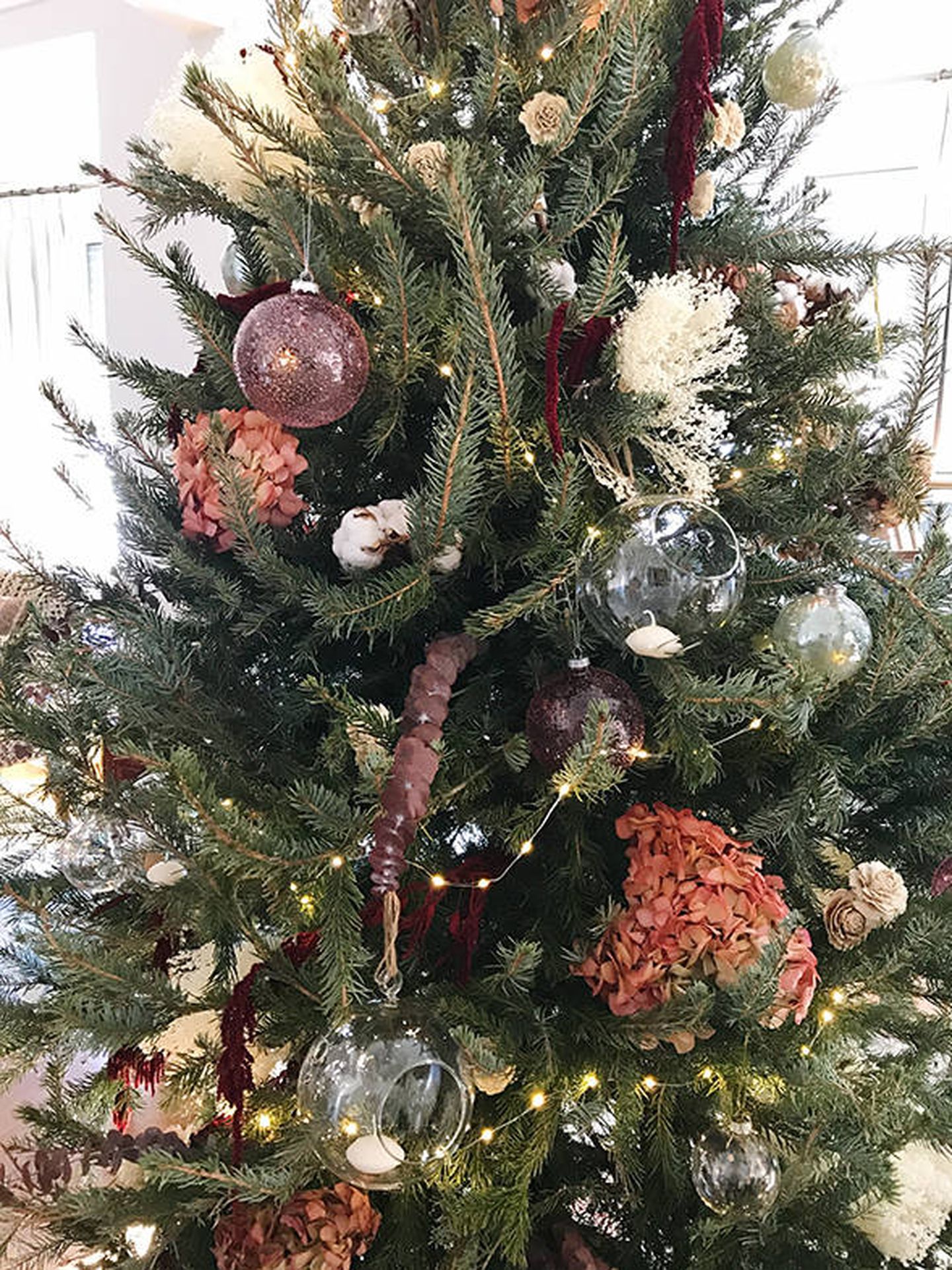 El árbol que adornará tu Navidad. (Cortesía Marengo)