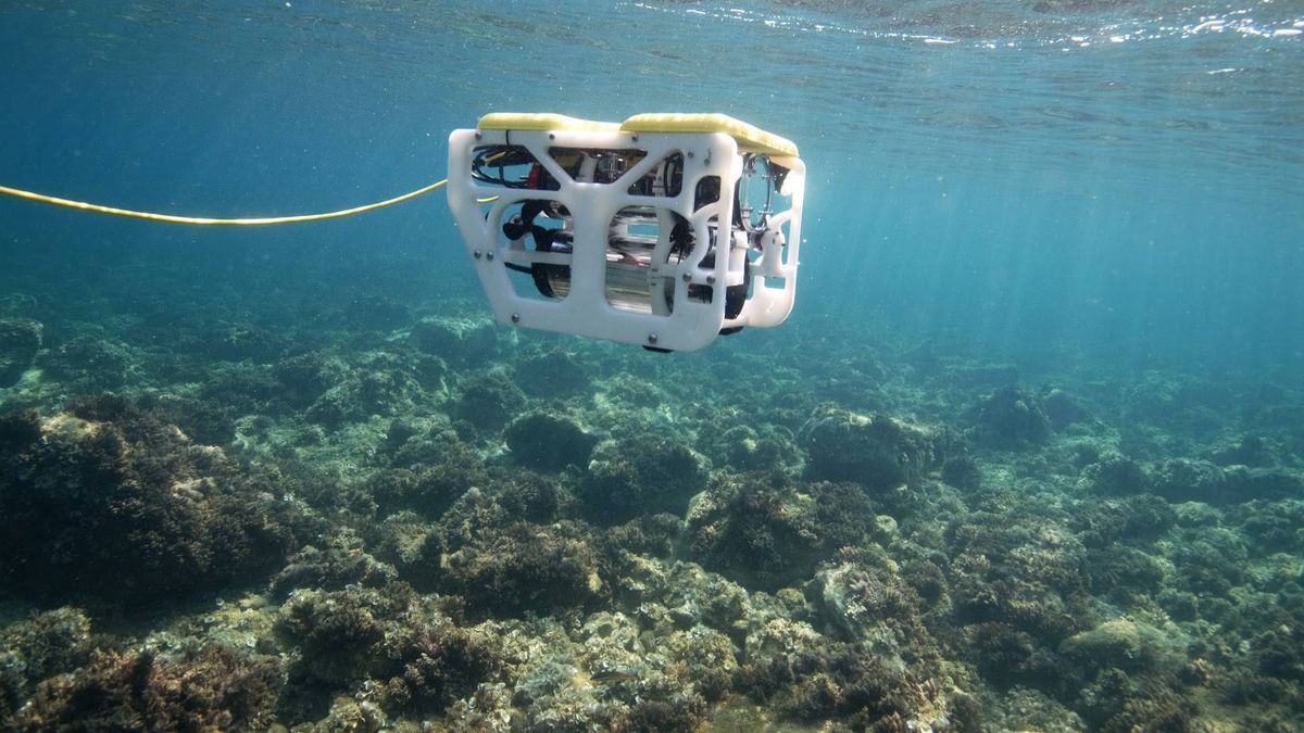 La idea murciana para explorar el fondo del océano: drones submarinos 'low cost'
