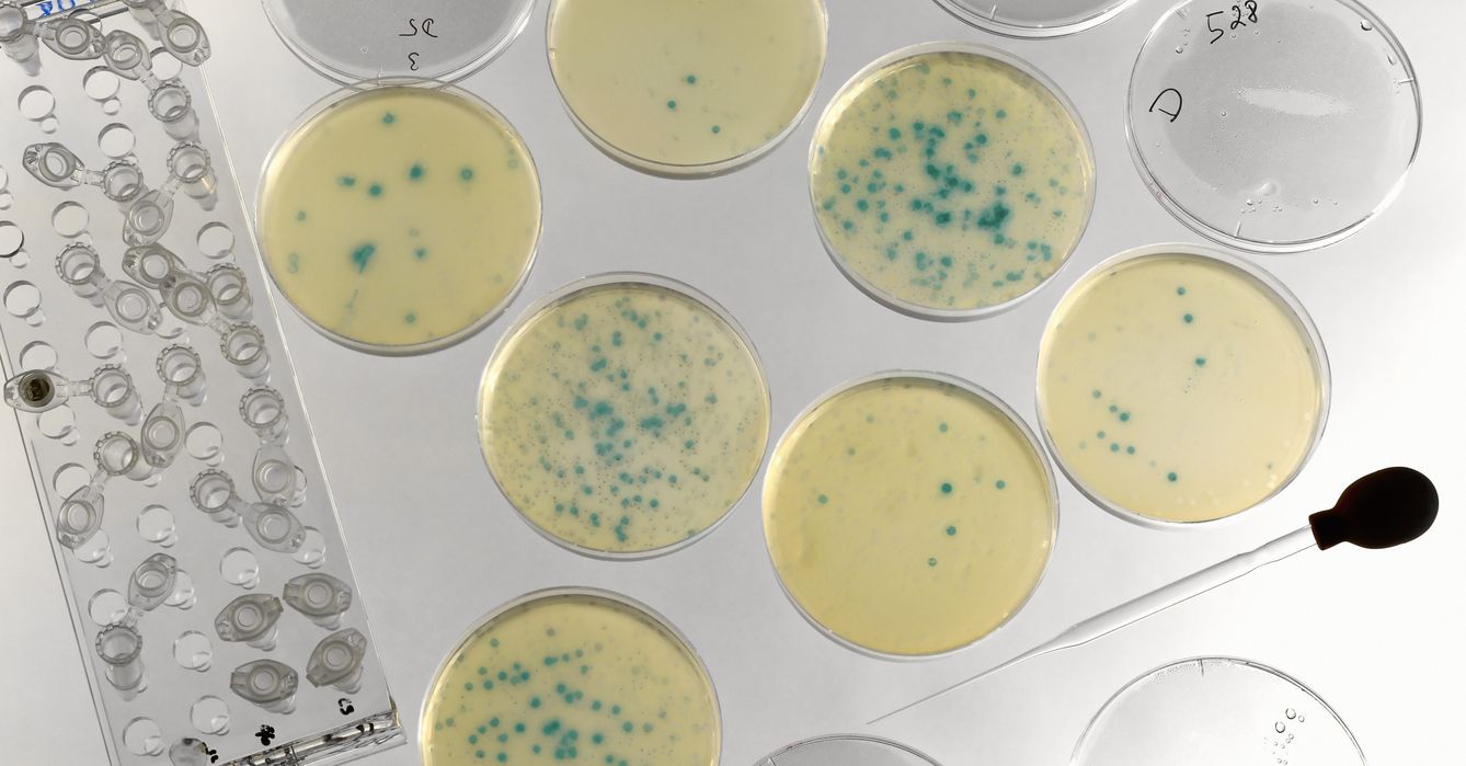 Las bacterias desarrollan resistencia a los antibióticos de forma constante. (Corbis)