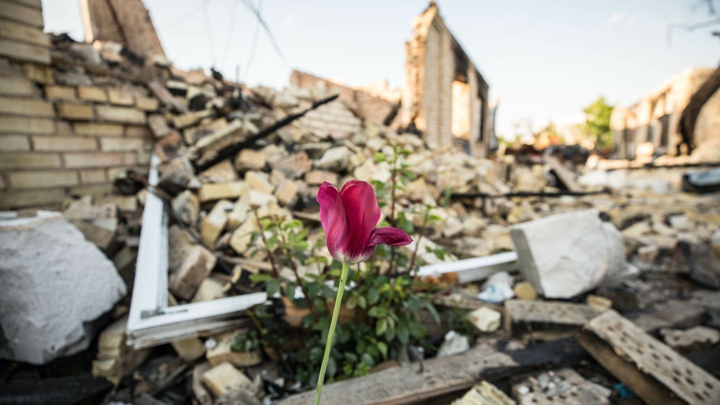  Fotografía de archivo, una flor en medio de una edificación destruida durante la guerra, en Bucha (Ucrania). (EFE/Esteban Biba) 