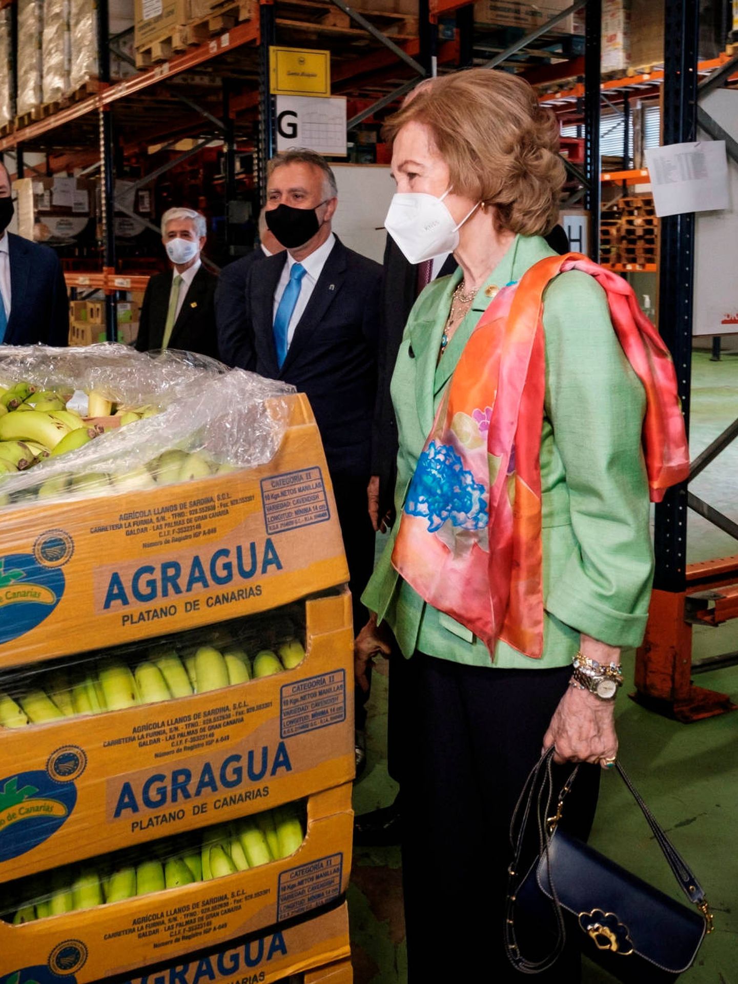 La reina Sofía, en un Banco de Alimentos. (EFE)