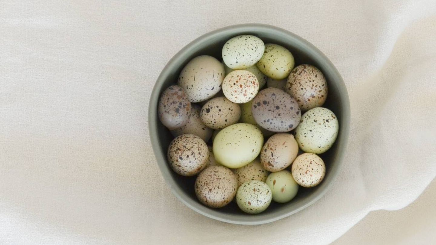 Huevos de codorniz. (Unsplash/Debby Hudson)