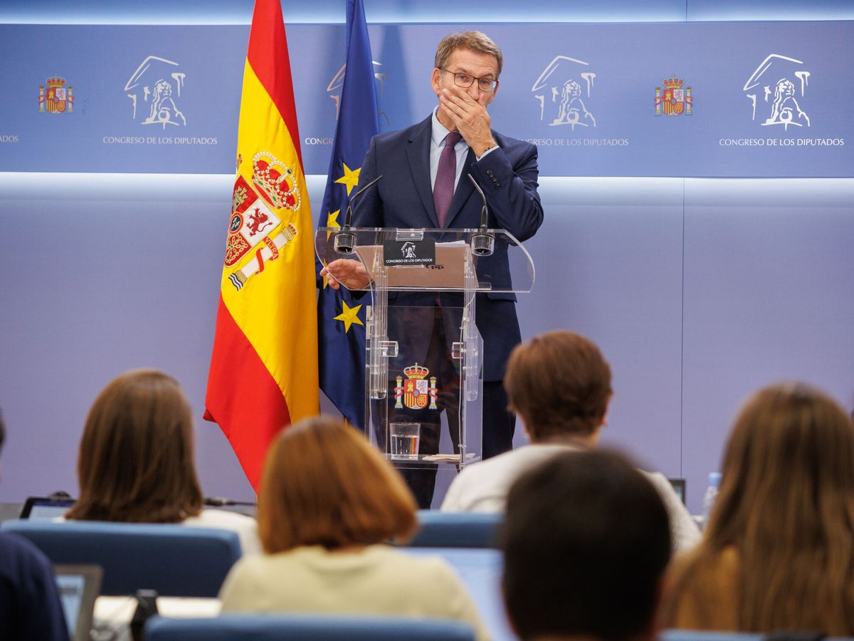 Foto: El líder del PP, Alberto Núñez Feijóo. (Europa Press/Alejandro Martínez Vélez)