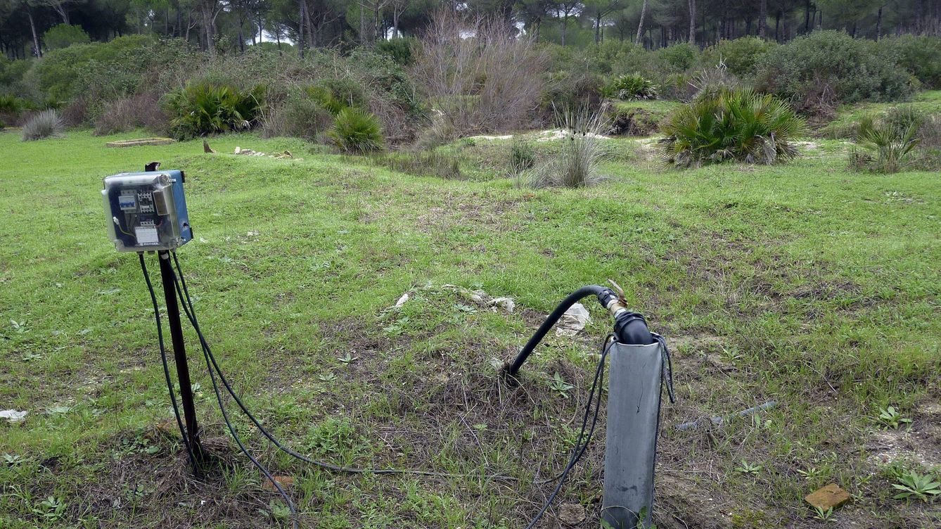 Foto: Un pozo ilegal en el entorno de Doñana. (EFE / Felipe Fuentelsaz)