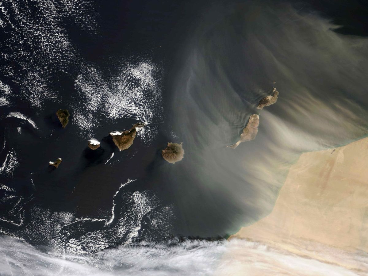 Foto: El polvo del Sáhara: por qué la arena del desierto 'viaja' cada año hasta EEUU. (EFE)