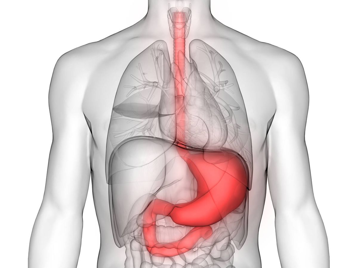 Foto: La acidez estomacal es una de las dolencias digestivas más comunes. (iStock)