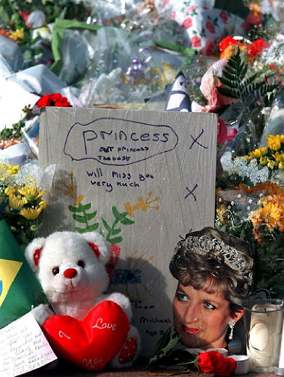 Foto: Diana de Gales falleció por un "homicidio por imprudencia"