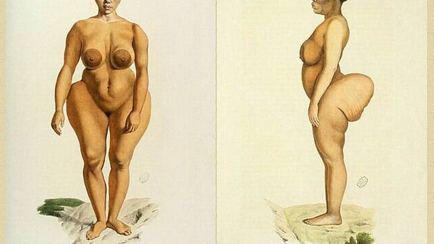 Ilustración de Sara Baartman, la Venus de Hotentote. (Wikimedia Commons)