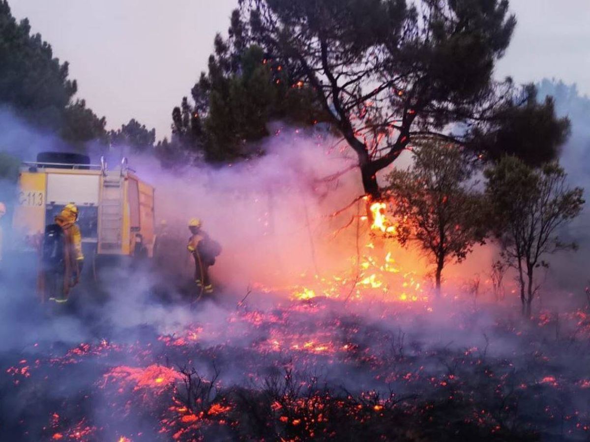 Foto: El incendio registrado en Castrocontrigo (León)