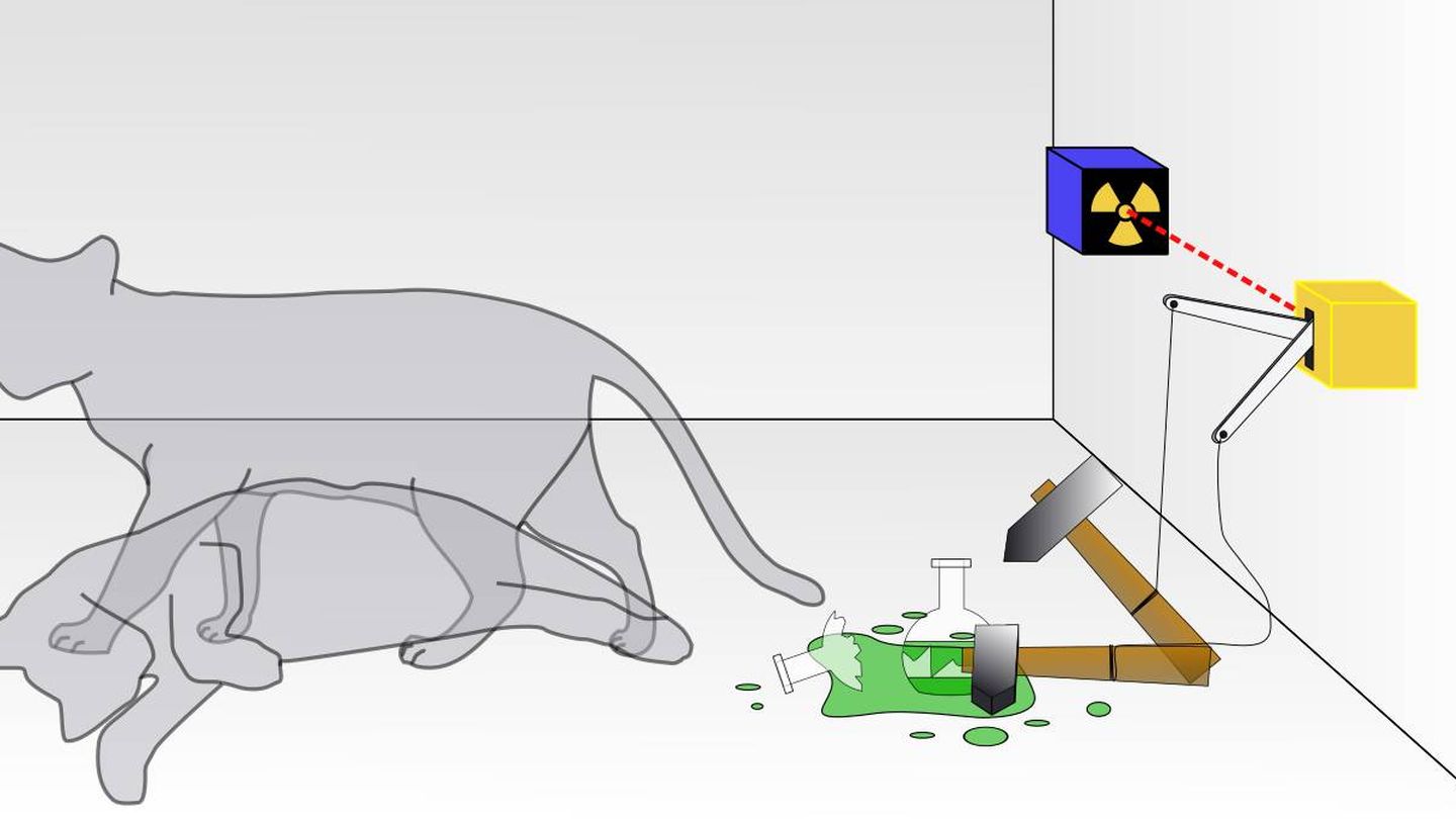 El gato de Schrödinger está vivo y muerto al mismo tiempo. (CC)