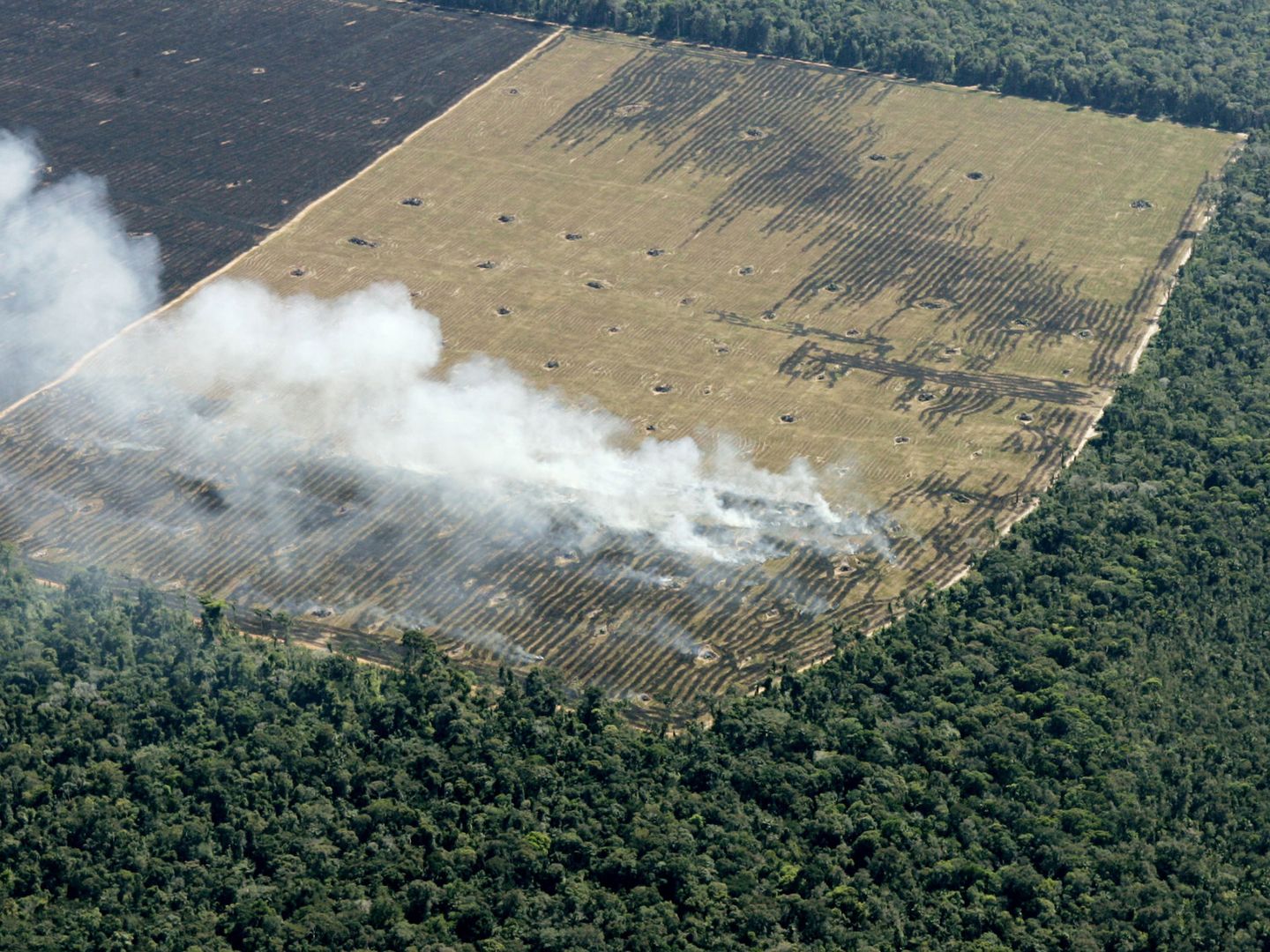 Deforestación en el Amazonas. (Reuters/Rickey Rogers)
