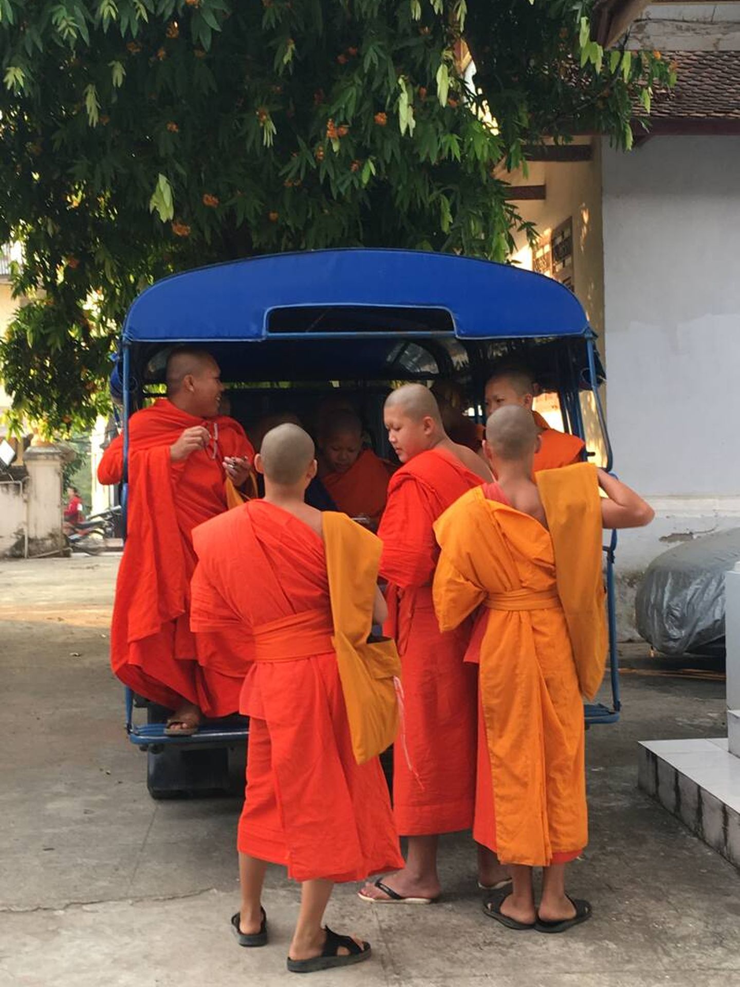 Cada madrugada, cientos de monjes budistas recorren las calles de Luang Prabang en ordenada procesión. (Cortesía)