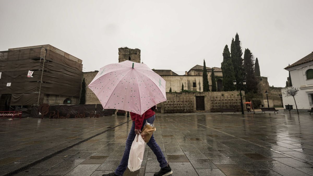 Una DANA trae la ansiada lluvia a Andalucía… y pone en 'alerta' la campaña en su ecuador