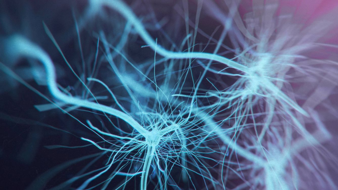 Identifican las neuronas que mueren en el párkinson: el paso clave para un tratamiento 