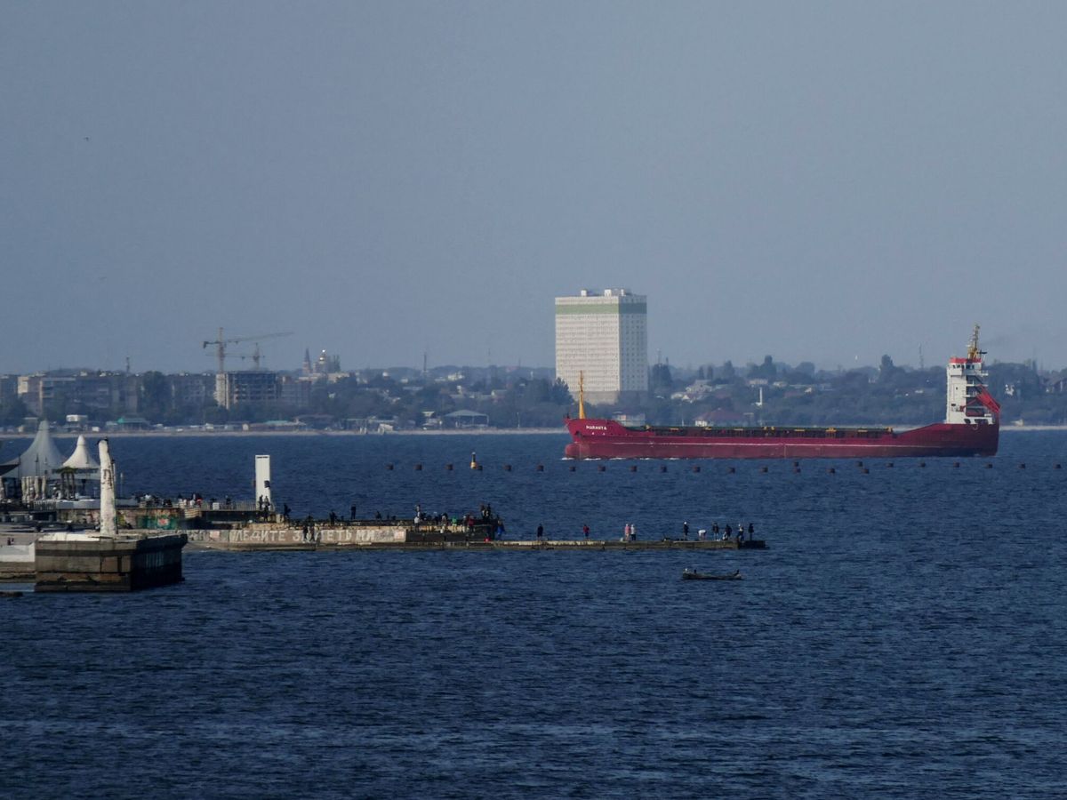 Foto: Foto de archivo: barcos de grano en el puerto de Odesa (EFE/Igor Tkachenko)