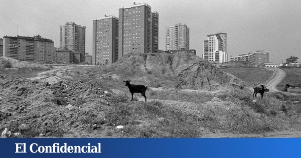 Antes, todo esto era campo: el fotógrafo que mejor retrató los descampados de Madrid
