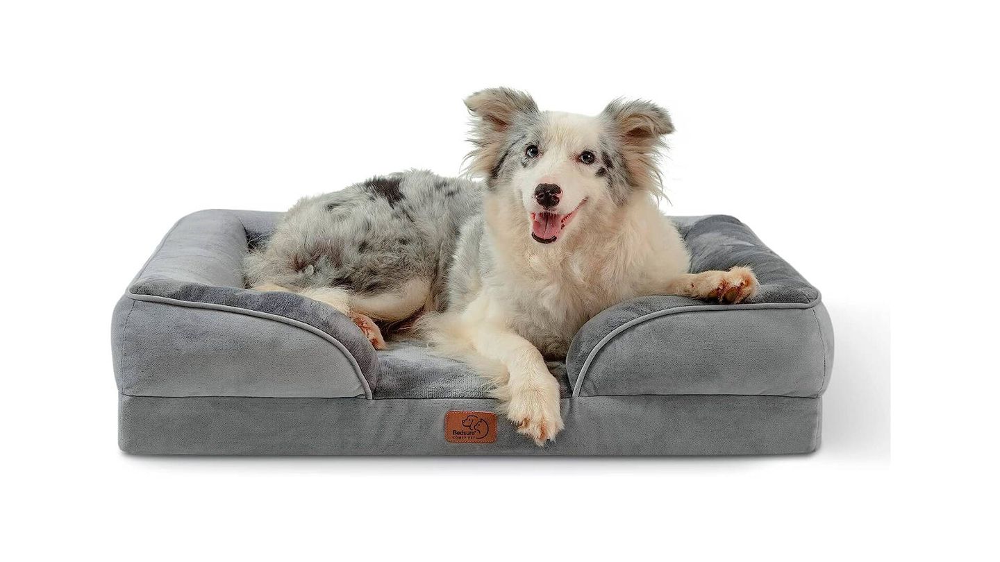 7 razones por las que necesitas una cama de perro con funda impermeable