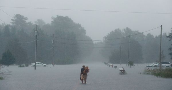 Foto: Un hombre camina entre las calles inundadas de Lumberton, en Carolina del Norte. (Reuters)