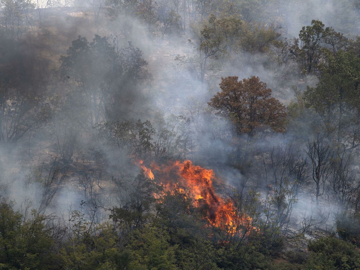 Foto: Incendio forestal. (EFE/Georgi Licovski)