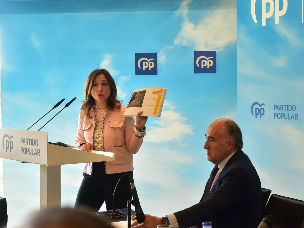 Foto: La presidenta del PP de Málaga, Patricia Navarro, muestra el estudio del proyecto realizado en 2015 por el entonces Gobierno. (Cedida: PP de Málaga)