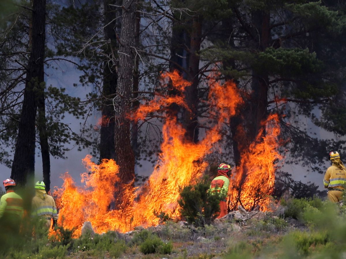 Foto: Los efectivos luchan para apagar el fuego en Sierra de la Culebra, Zamora. (REUTERS: Isabel Infante)