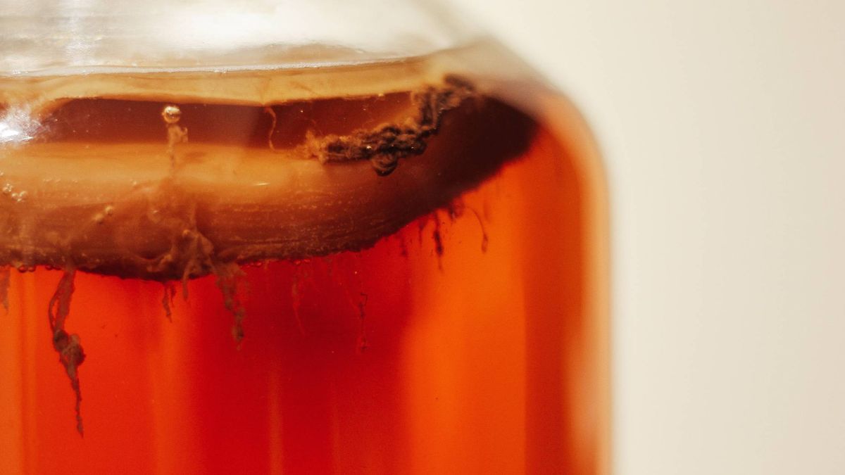 Cinco beneficios del té kombucha demostrados científicamente