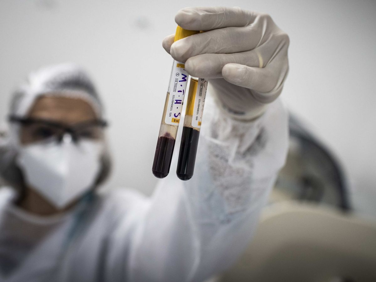 Foto: Una trabajadora sanitaria de Brasil realiza exámenes de sangre a pacientes con covid-19 (EFE)