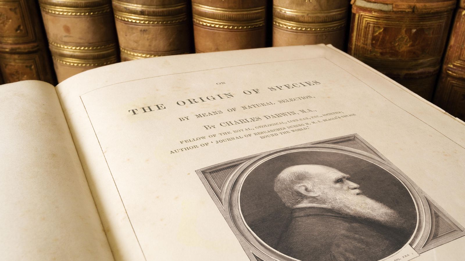 Foto: Una copia antigua de la obra cumbre de Darwin. (iStock)