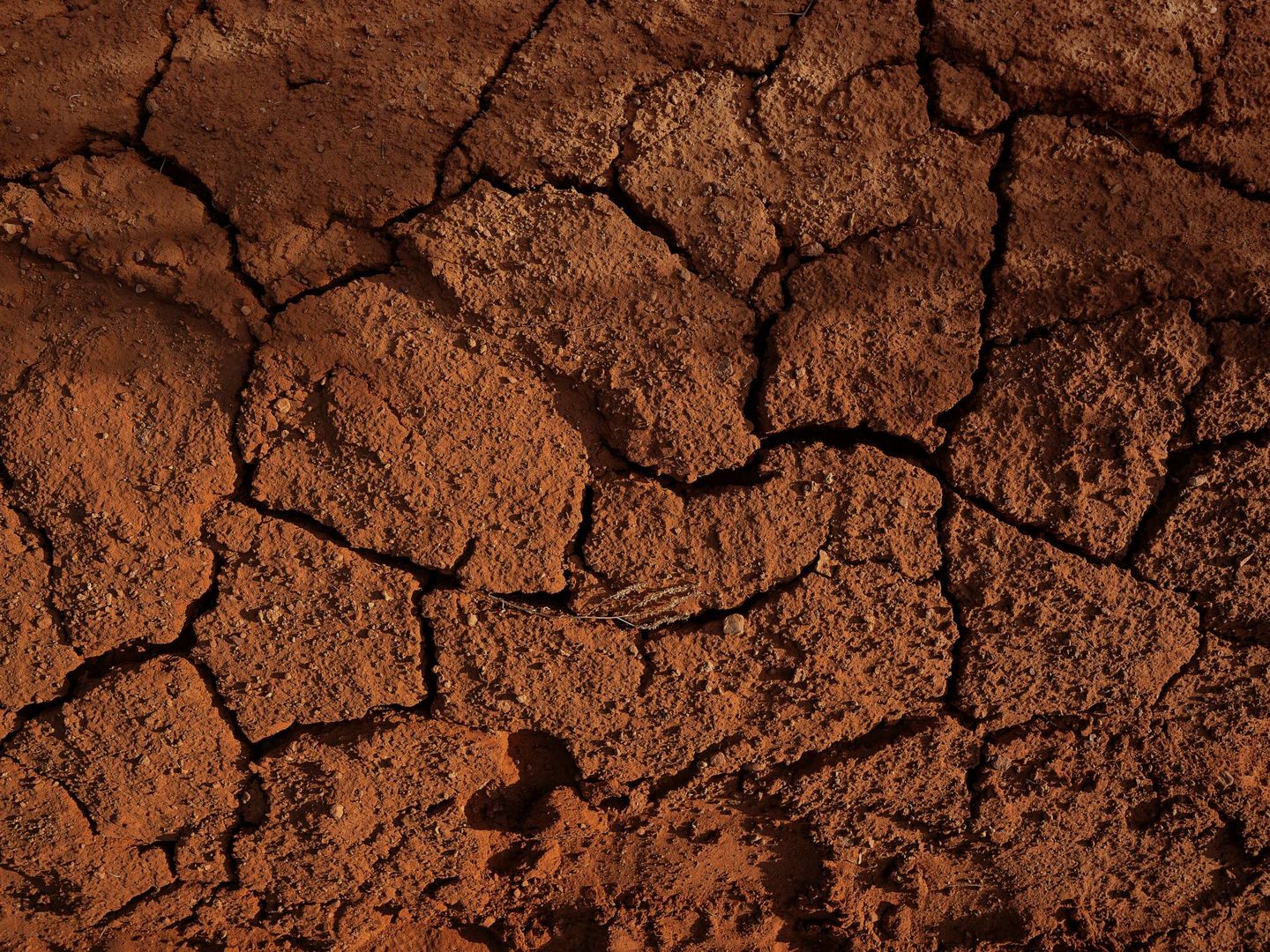 La salinidad del suelo, uno de los mayores riesgos. Foto: Unsplash