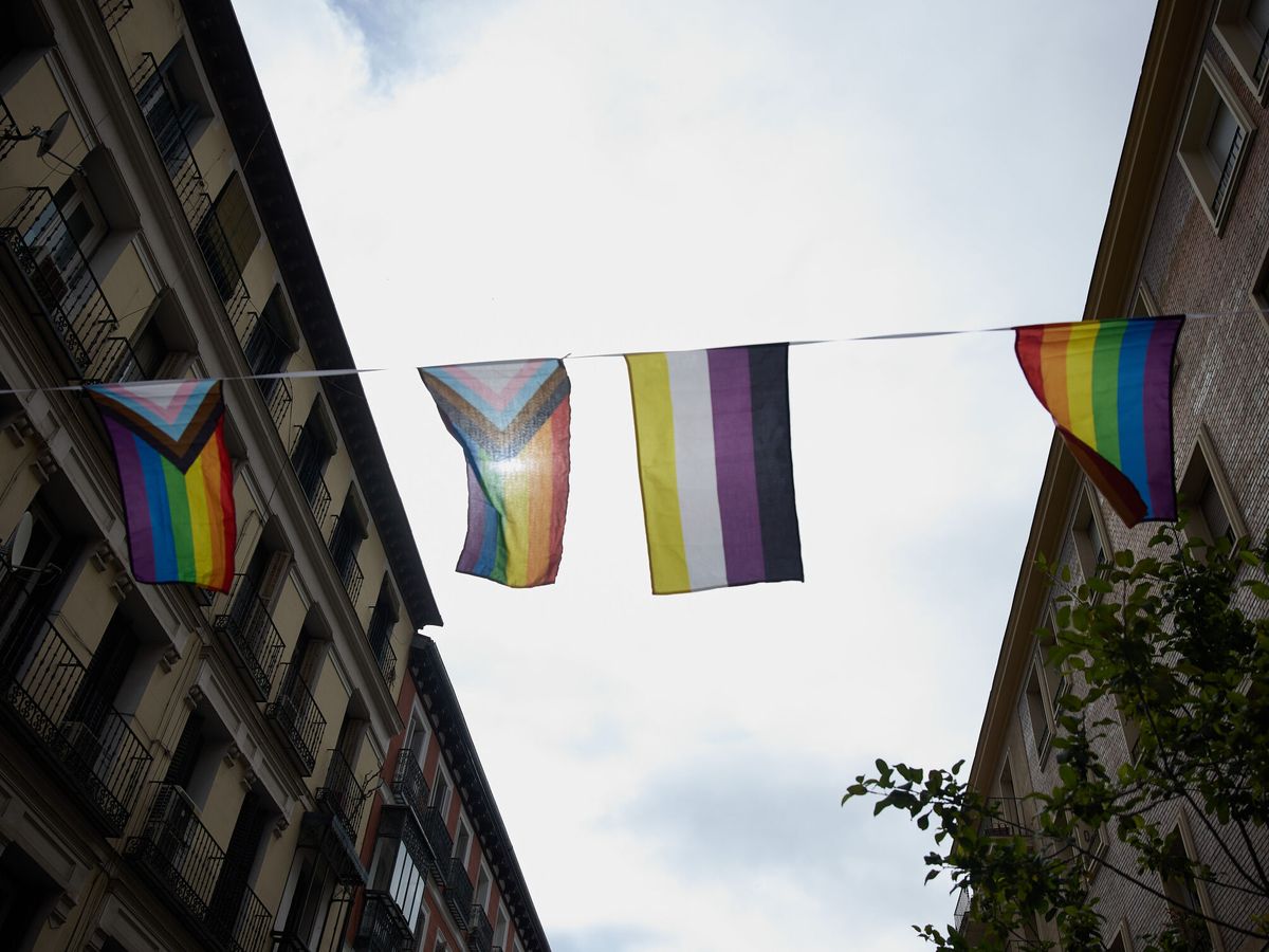 Foto: Banderas del colectivo LGTBI. (Europa Press/Jesús Hellín)