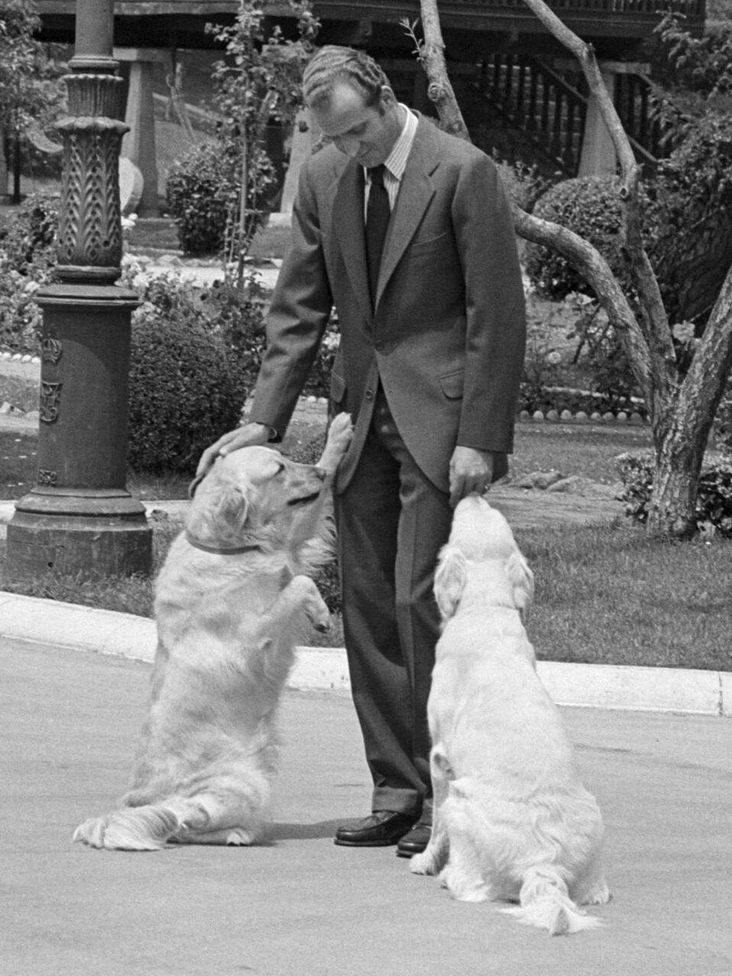 El rey Juan Carlos, con sus perros en una imagen de archivo. (Cordon Press) 