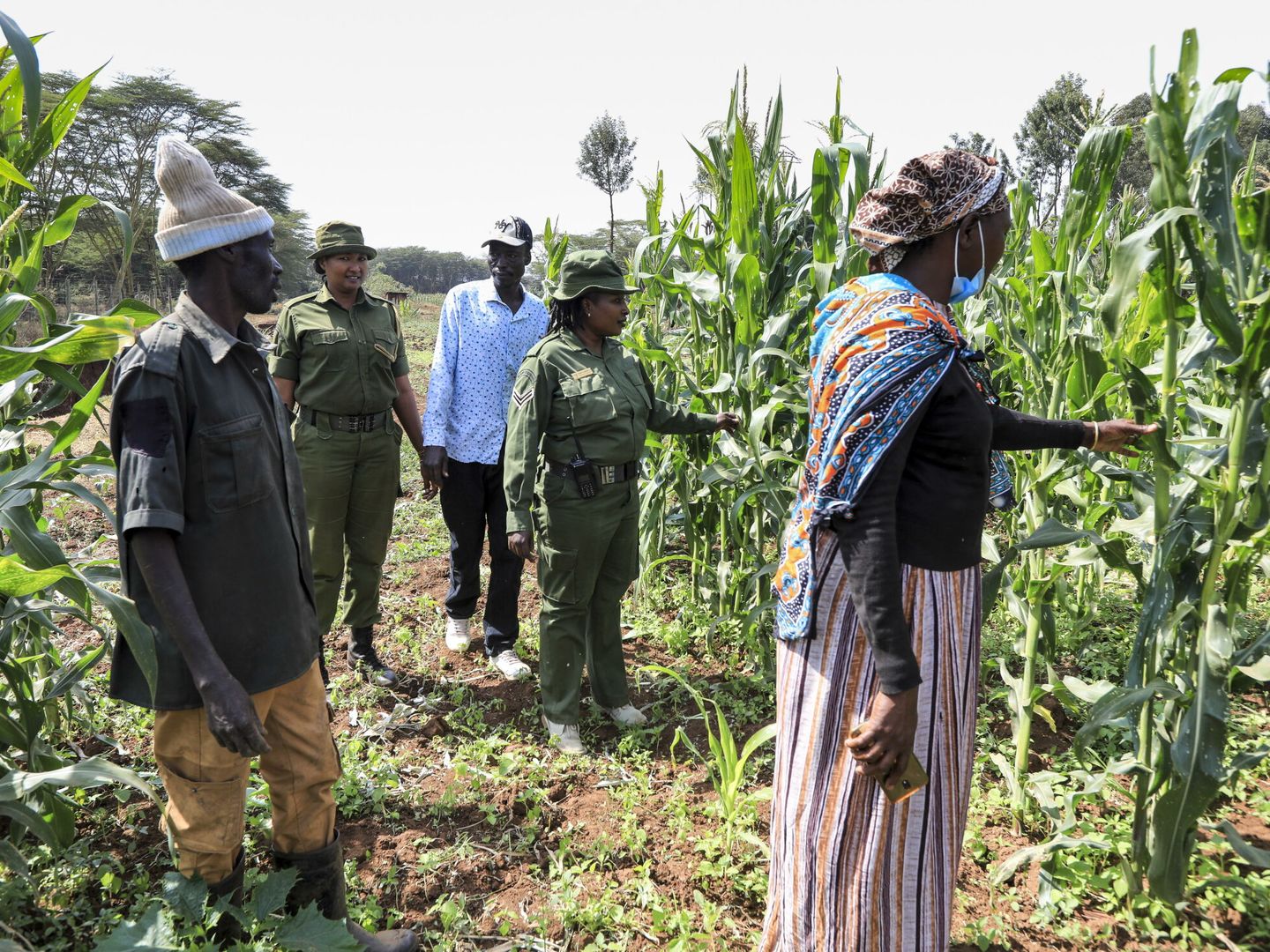 Área de conservación agrícola en Kenia. Foto: Reuters