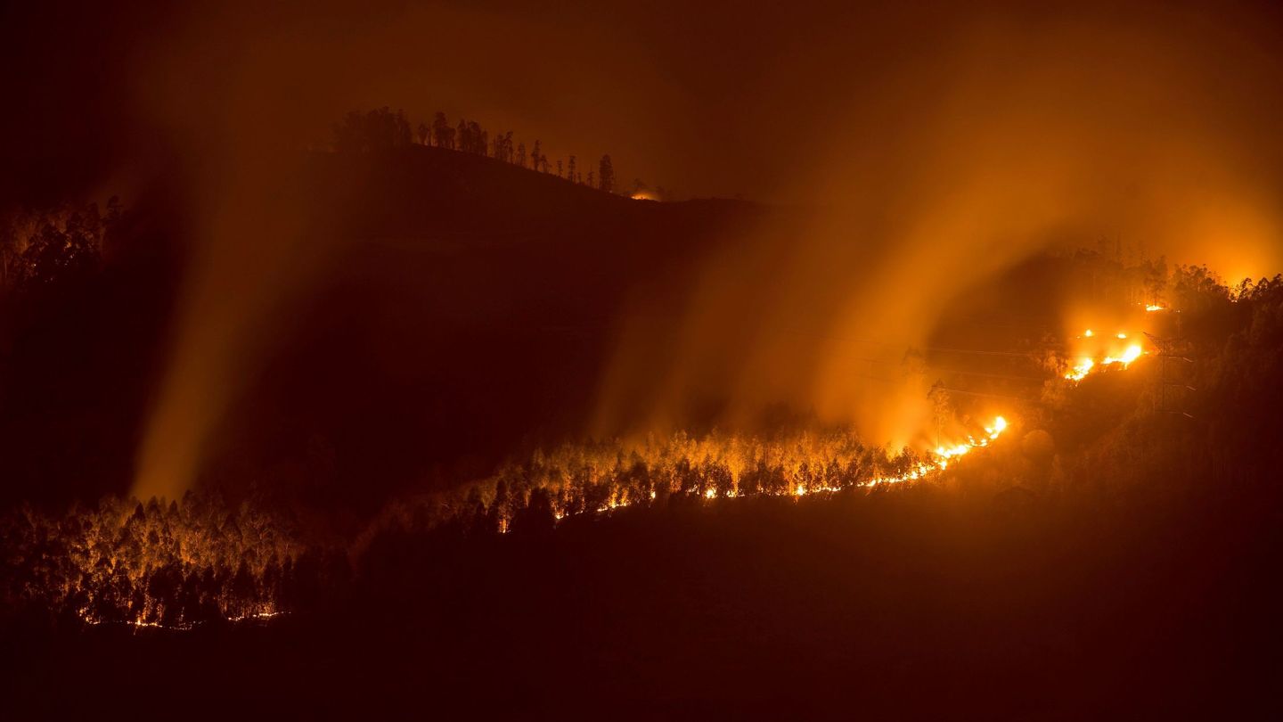 Incendio forestal cerca de la localidad cántabra de San Román. (EFE)