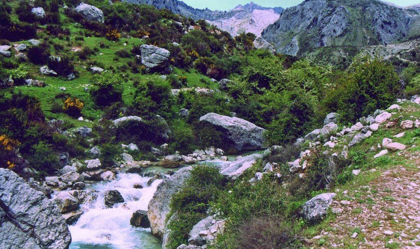 Nacimiento del río Castril. (Junta de Andalucía)