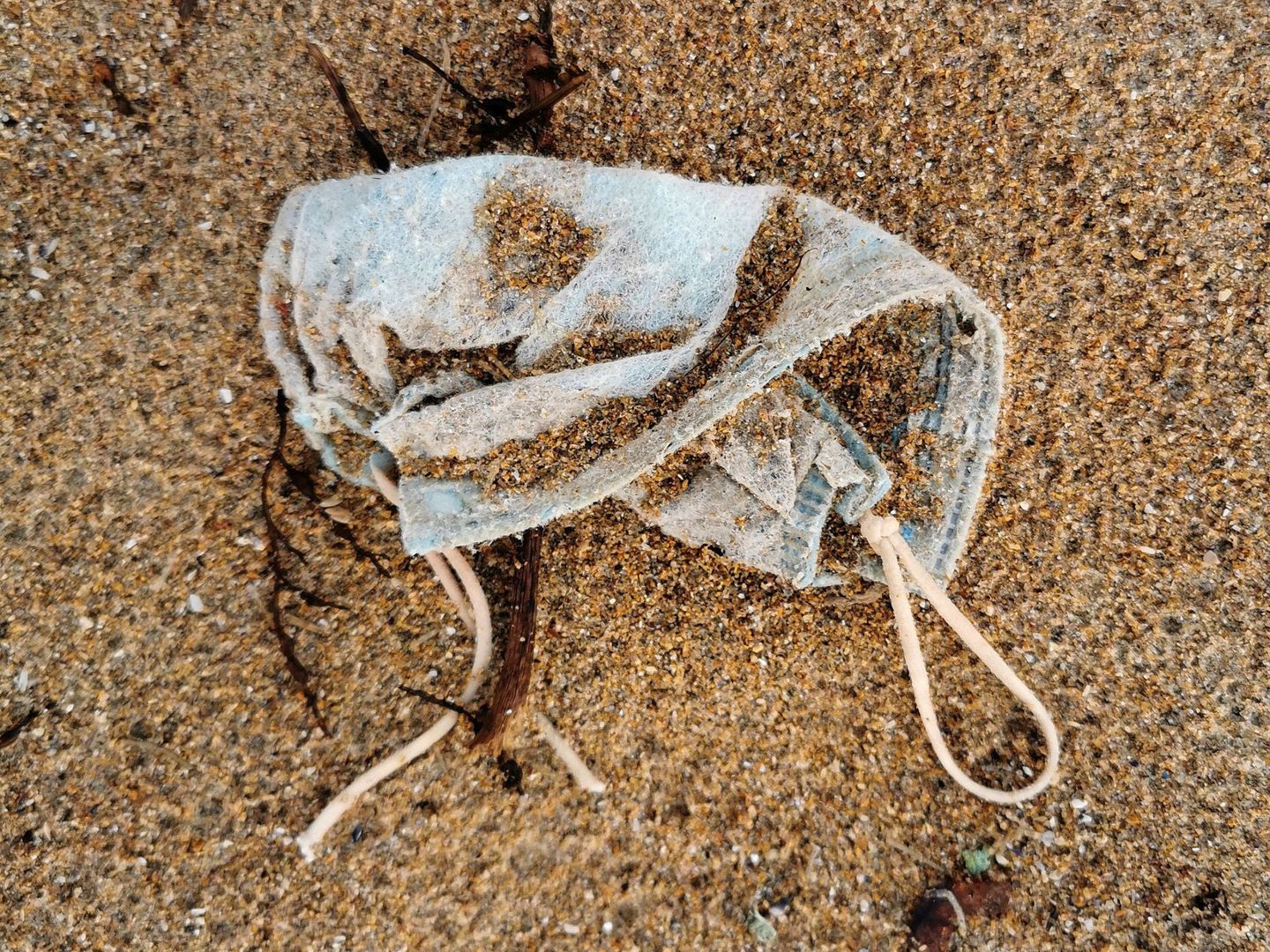Mascarilla tirada en una playa de A Coruña. (EFE/Cabalar)