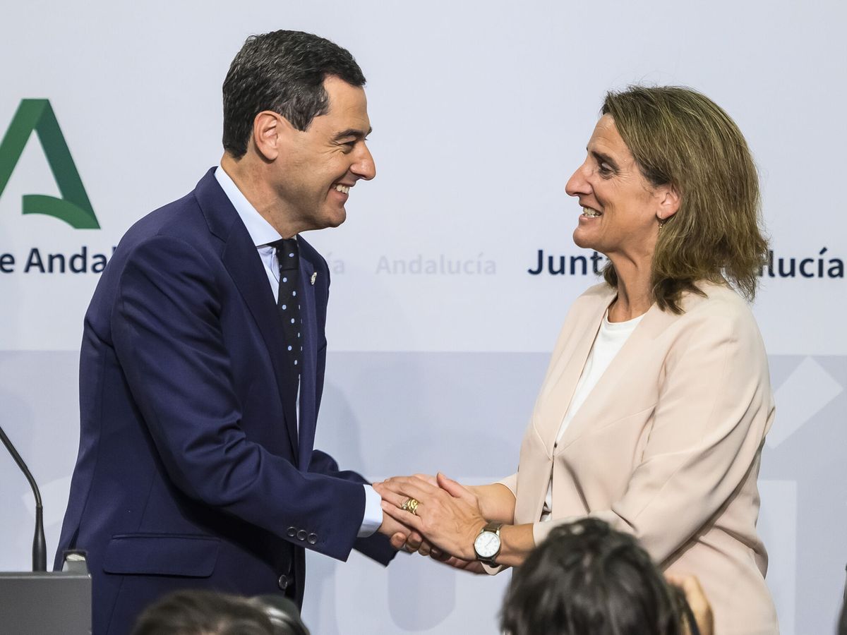 Foto: Junta pospone aprobar la ley de regadíos de Doñana tras abrir un diálogo con el Gobierno. (EFE/Raúl Caro)