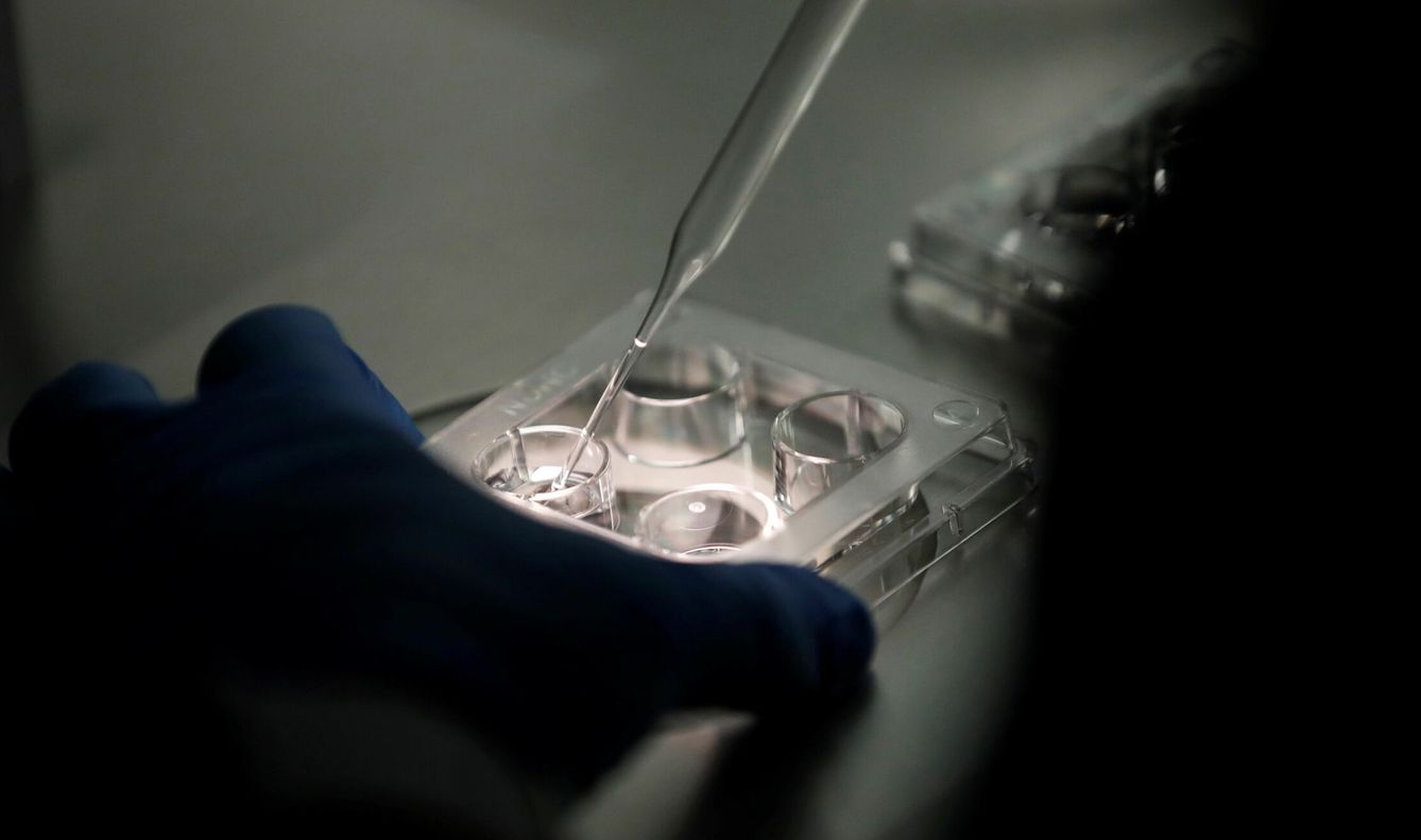 Personal técnico trabaja con óvulos en un laboratorio de una clínica de fertilidad. (EFE/Bienvenido Velasco)
