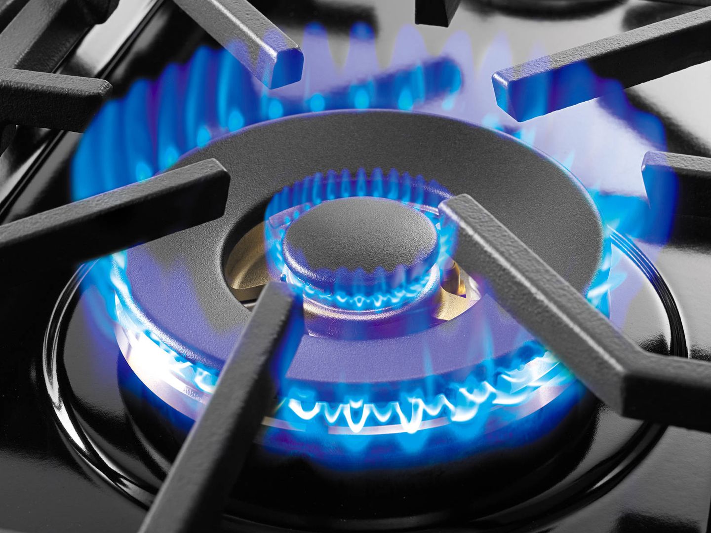 Cocina de gas, vitrocerámica o inducción? Guía práctica para elegir la placa  ideal para tu casa
